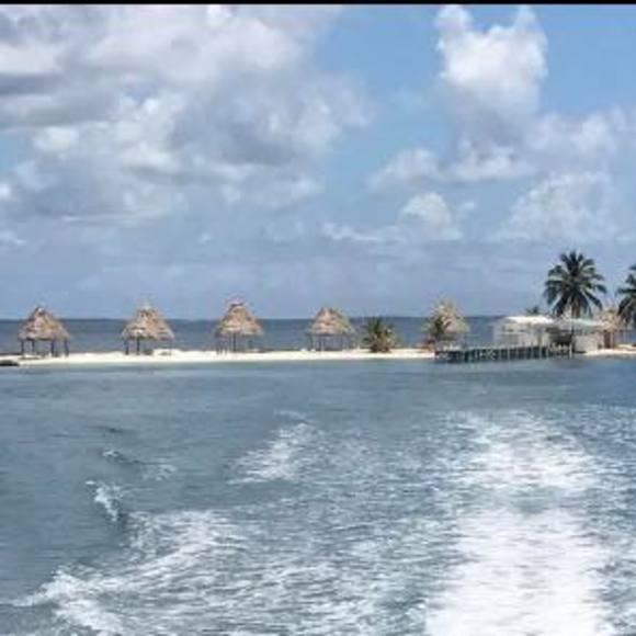 Meet your Posher, Jojit ivy - Picture 1 of 1